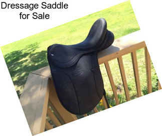 Dressage Saddle for Sale