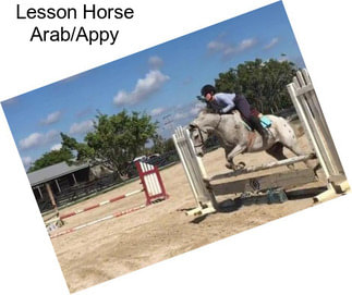 Lesson Horse Arab/Appy