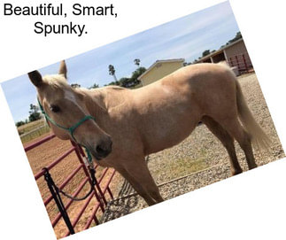 Beautiful, Smart, Spunky.