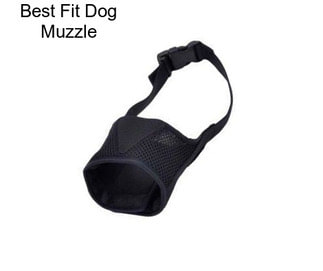 Best Fit Dog Muzzle