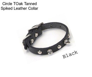 Circle TOak Tanned Spiked Leather Collar