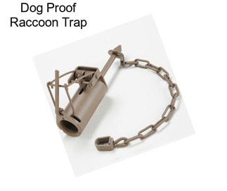 Dog Proof Raccoon Trap