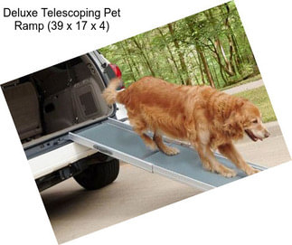 Deluxe Telescoping Pet Ramp (39\