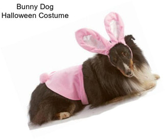 Bunny Dog Halloween Costume