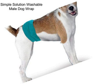 Simple Solution Washable Male Dog Wrap