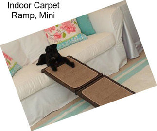 Indoor Carpet Ramp, Mini