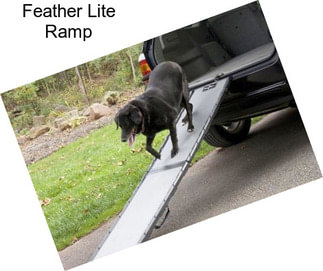 Feather Lite Ramp