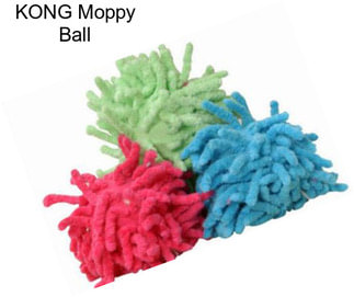KONG Moppy Ball