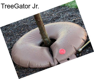 TreeGator Jr.