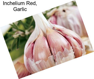 Inchelium Red, Garlic