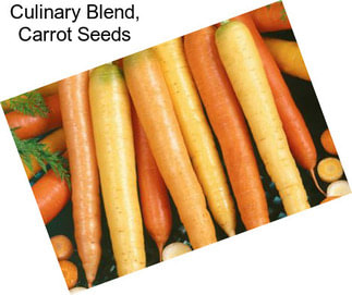 Culinary Blend, Carrot Seeds