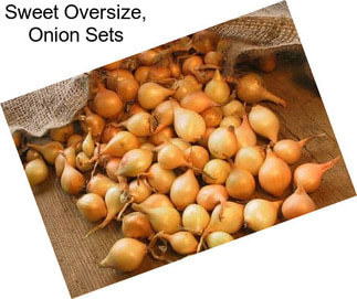 Sweet Oversize, Onion Sets