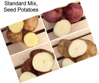 Standard Mix, Seed Potatoes