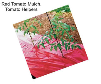 Red Tomato Mulch, Tomato Helpers