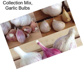 Collection Mix, Garlic Bulbs