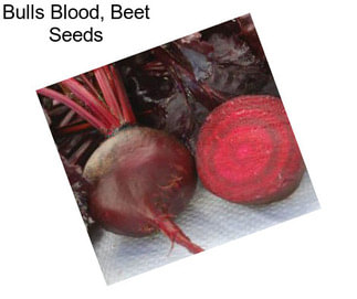 Bulls Blood, Beet Seeds