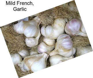 Mild French, Garlic