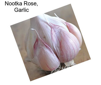 Nootka Rose, Garlic