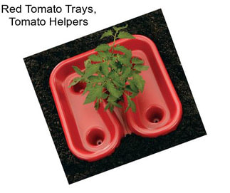 Red Tomato Trays, Tomato Helpers