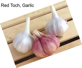 Red Toch, Garlic