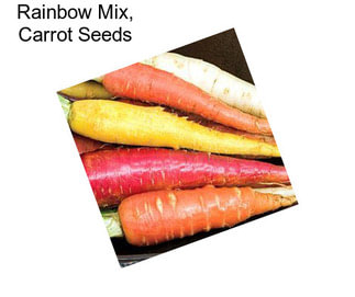 Rainbow Mix, Carrot Seeds