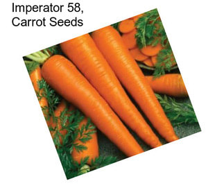 Imperator 58, Carrot Seeds