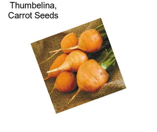 Thumbelina, Carrot Seeds