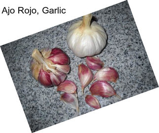 Ajo Rojo, Garlic