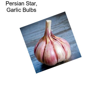 Persian Star, Garlic Bulbs