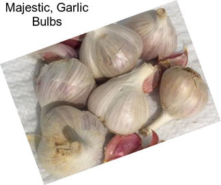 Majestic, Garlic Bulbs