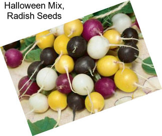 Halloween Mix, Radish Seeds