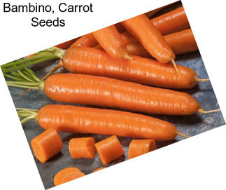 Bambino, Carrot Seeds