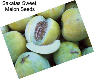 Sakatas Sweet, Melon Seeds