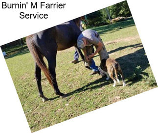 Burnin\' M Farrier Service