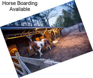 Horse Boarding Available