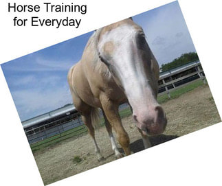 Horse Training for Everyday