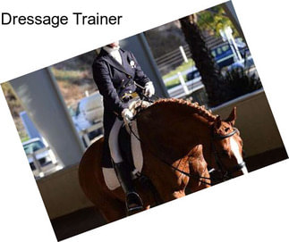 Dressage Trainer