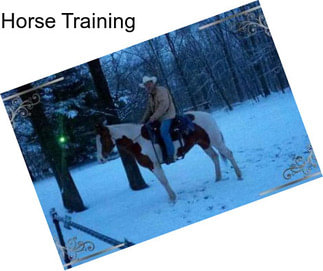 Horse Training