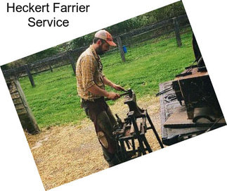 Heckert Farrier Service