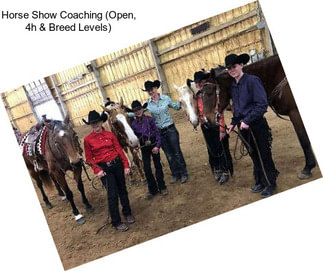 Horse Show Coaching (Open, 4h & Breed Levels)