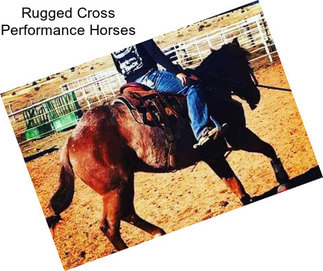 Rugged Cross Performance Horses