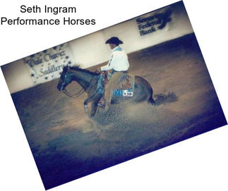 Seth Ingram Performance Horses