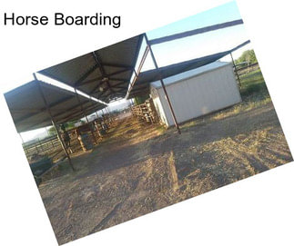 Horse Boarding