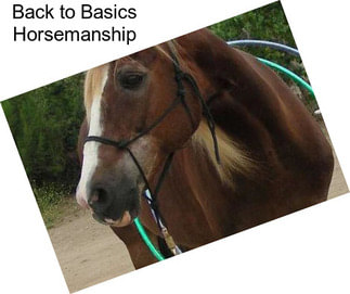 Back to Basics Horsemanship