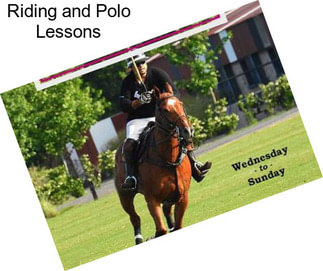 Riding and Polo Lessons