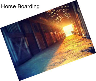 Horse Boarding