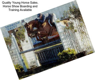 Quality Young Horse Sales. Horse Show Boarding and Training Available