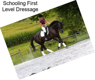 Schooling First Level Dressage