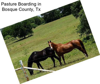 Pasture Boarding in Bosque County, Tx