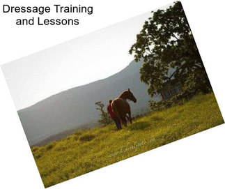 Dressage Training and Lessons